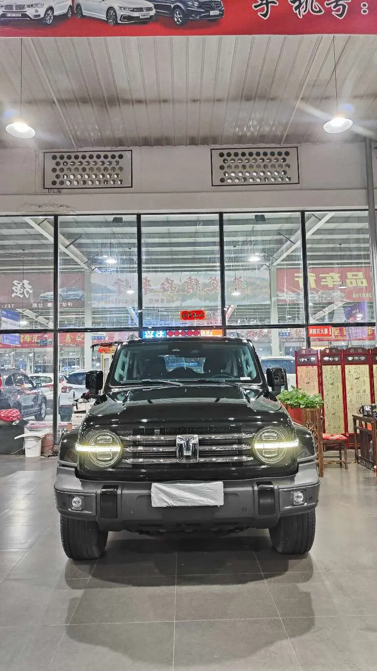 Tank 300  из Китая