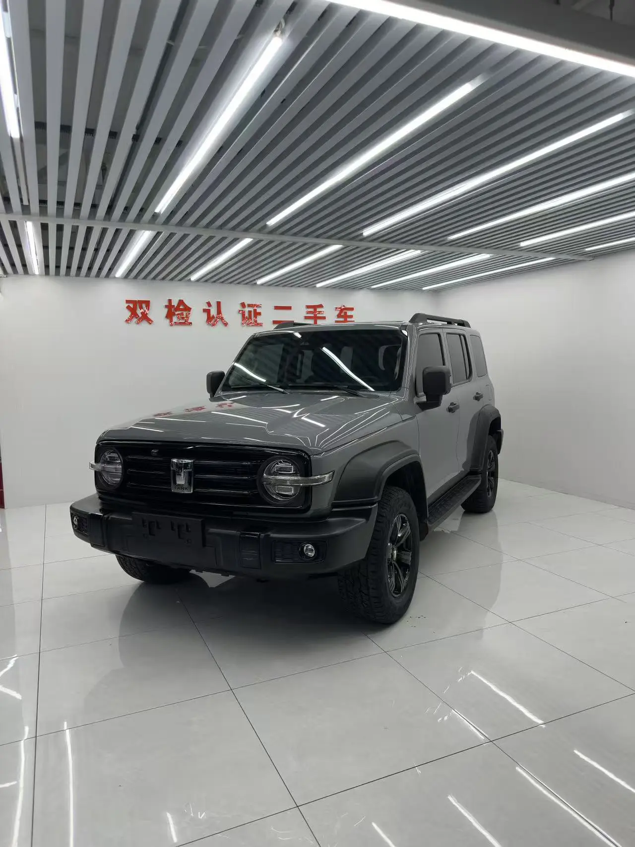 Tank 300  из Китая