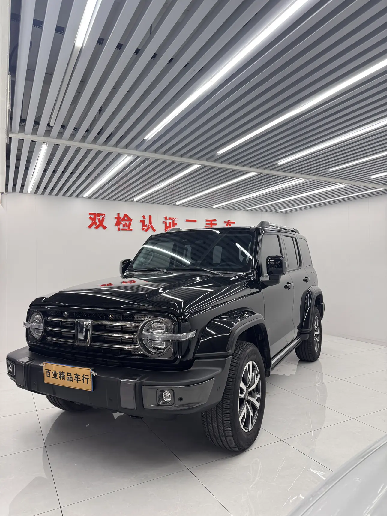 Tank 300  из Китая