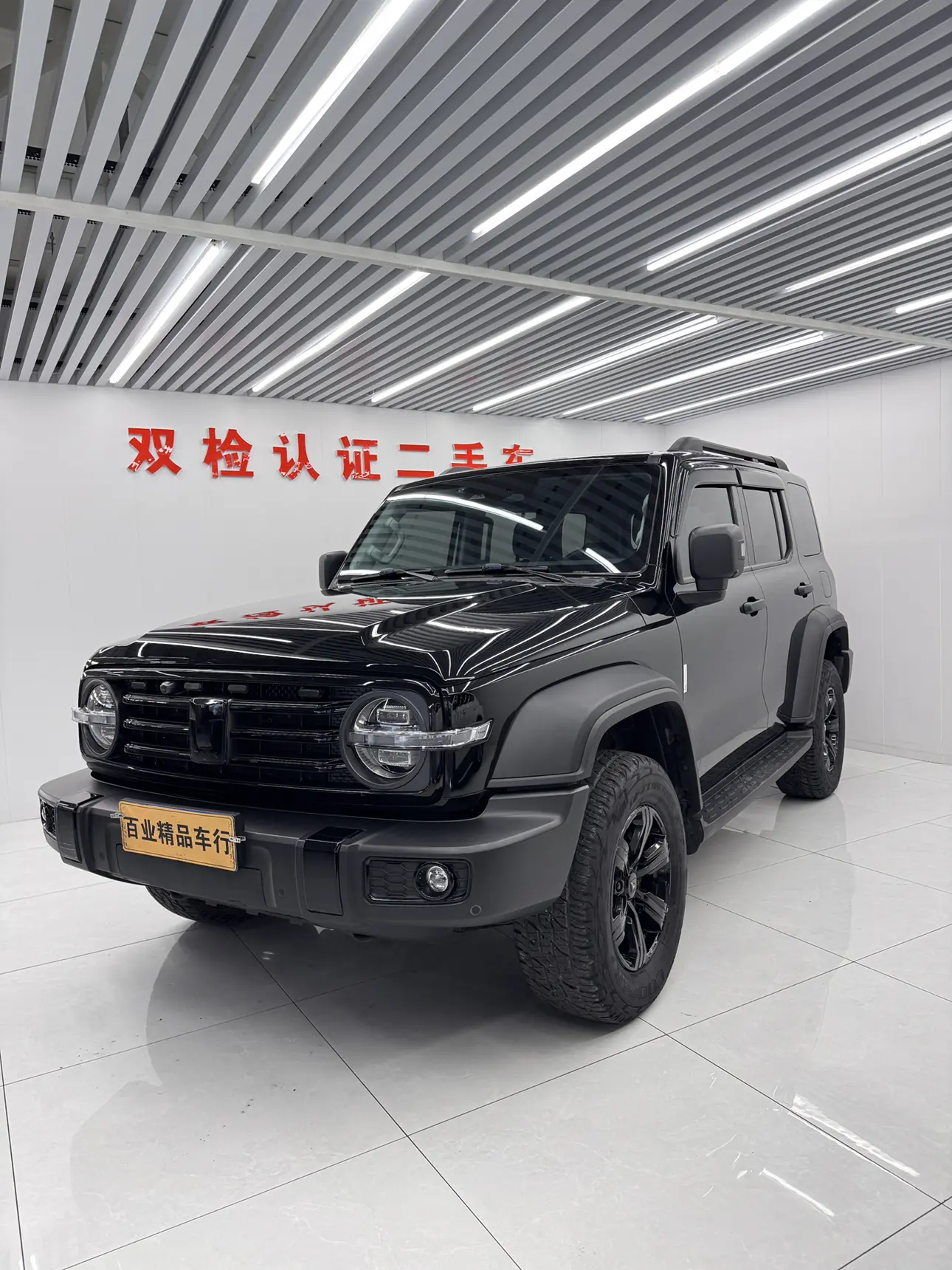 Tank 300  из Китая