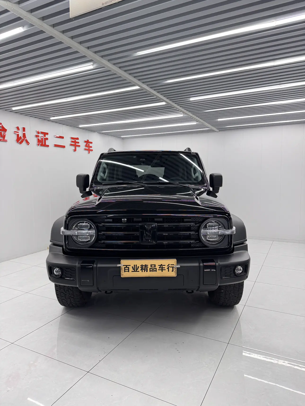 Tank 300  из Китая