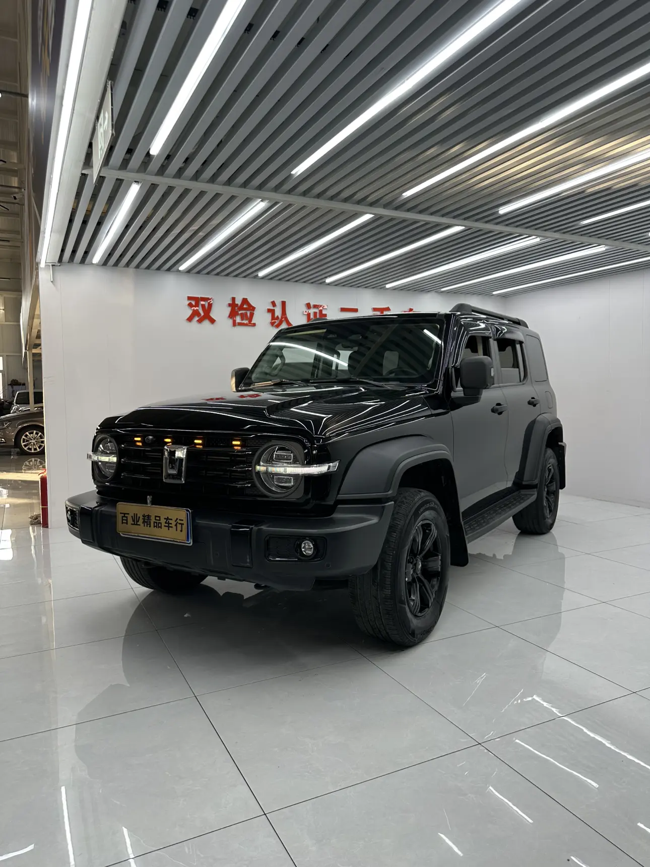 Tank 300  из Китая