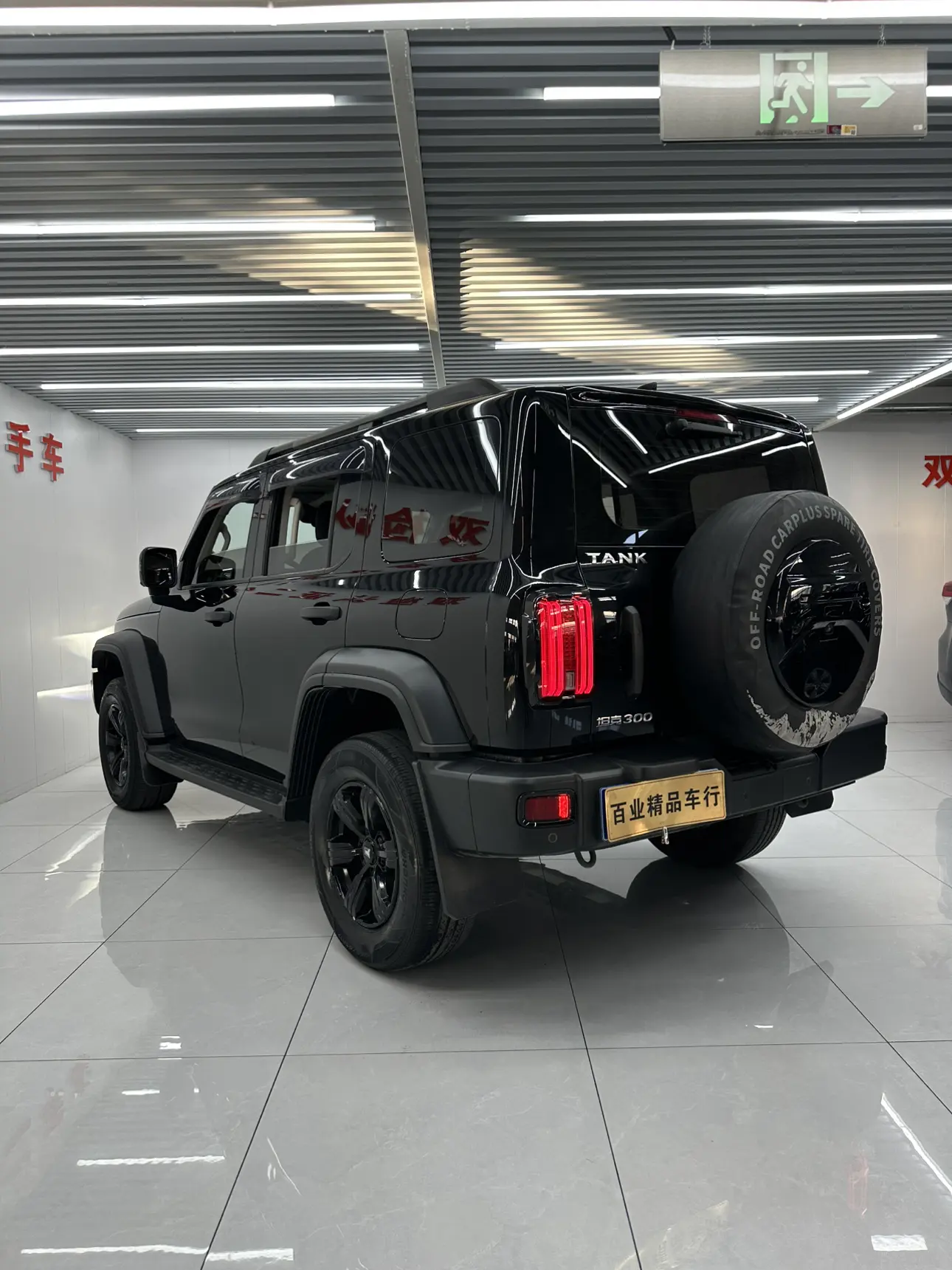 Tank 300  из Китая