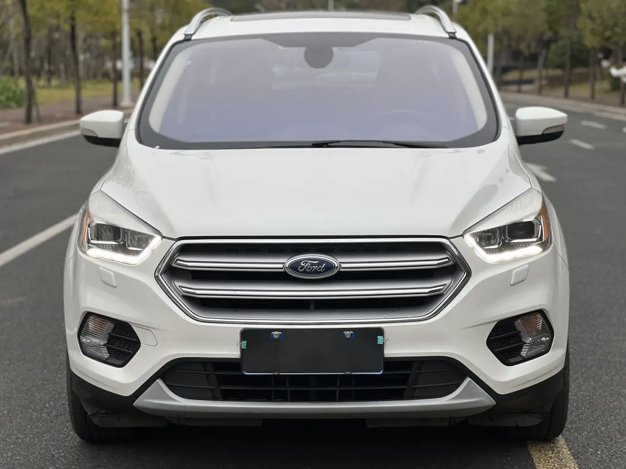 Ford Wing tiger  из Китая