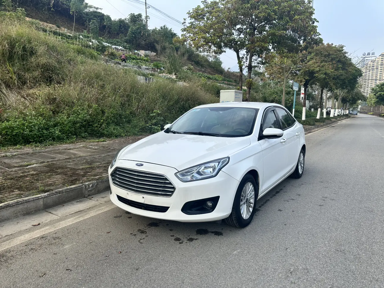 Ford Forrest  из Китая