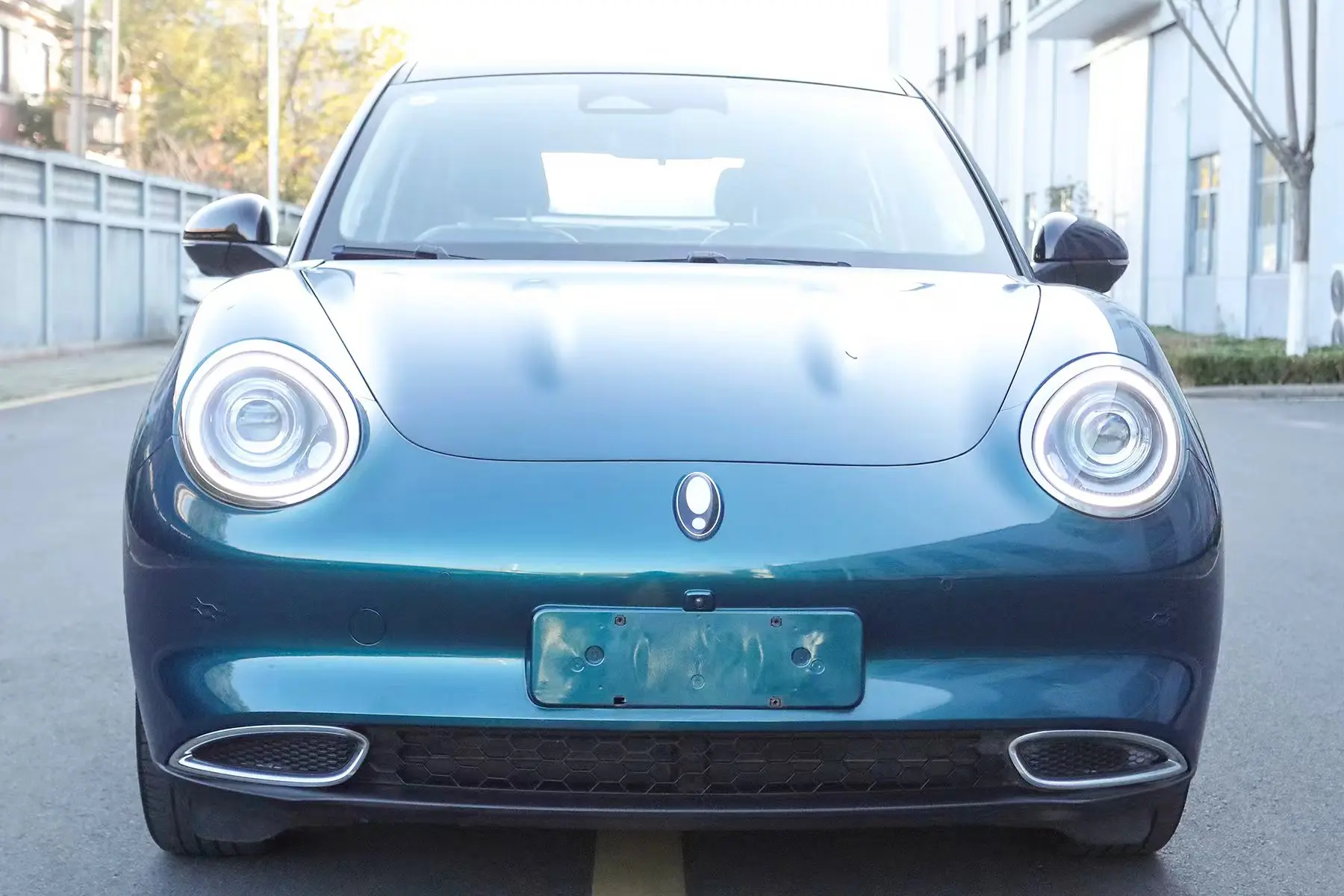 ORA Euler good cat  из Китая