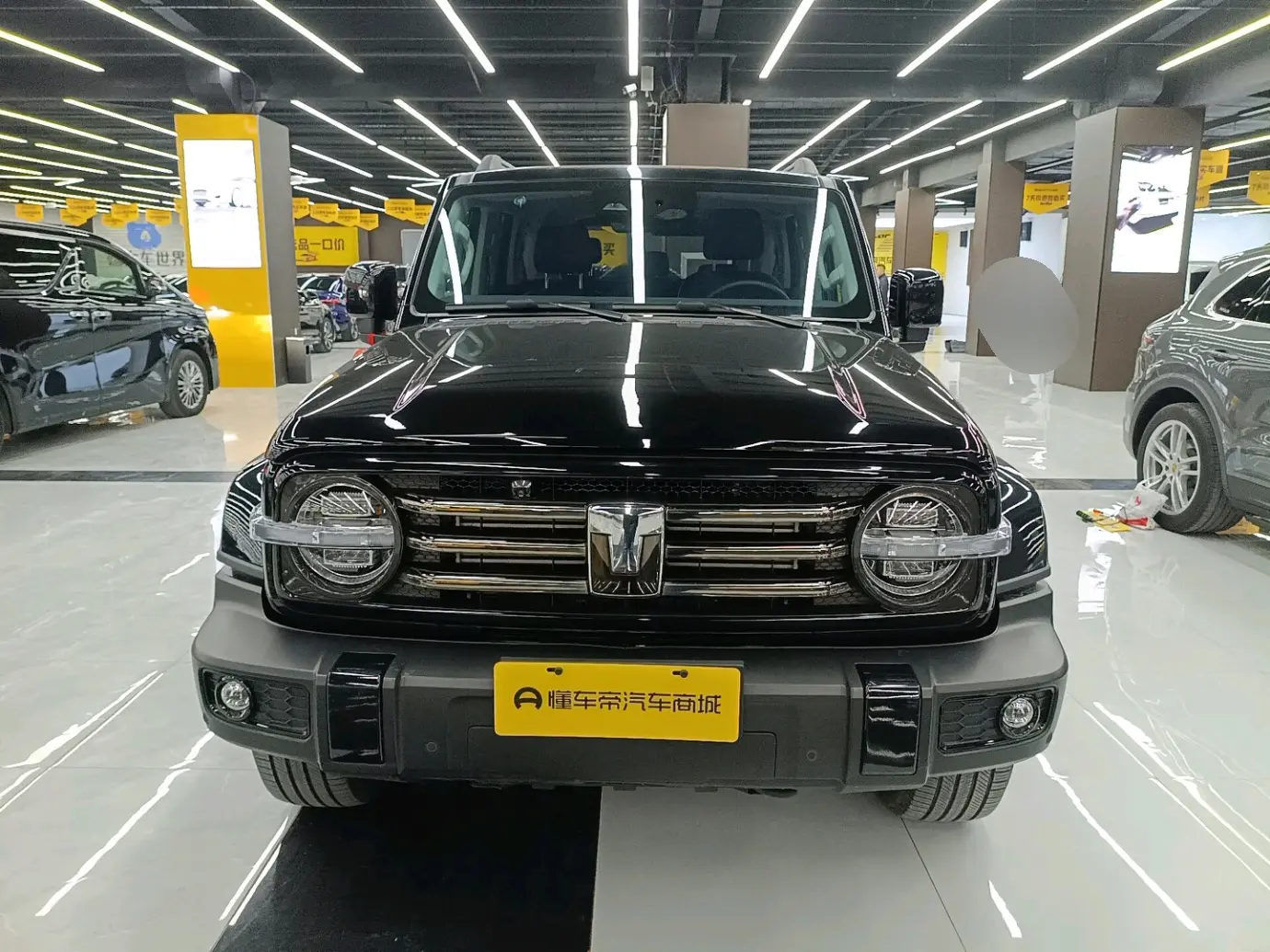 Tank 300  из Китая