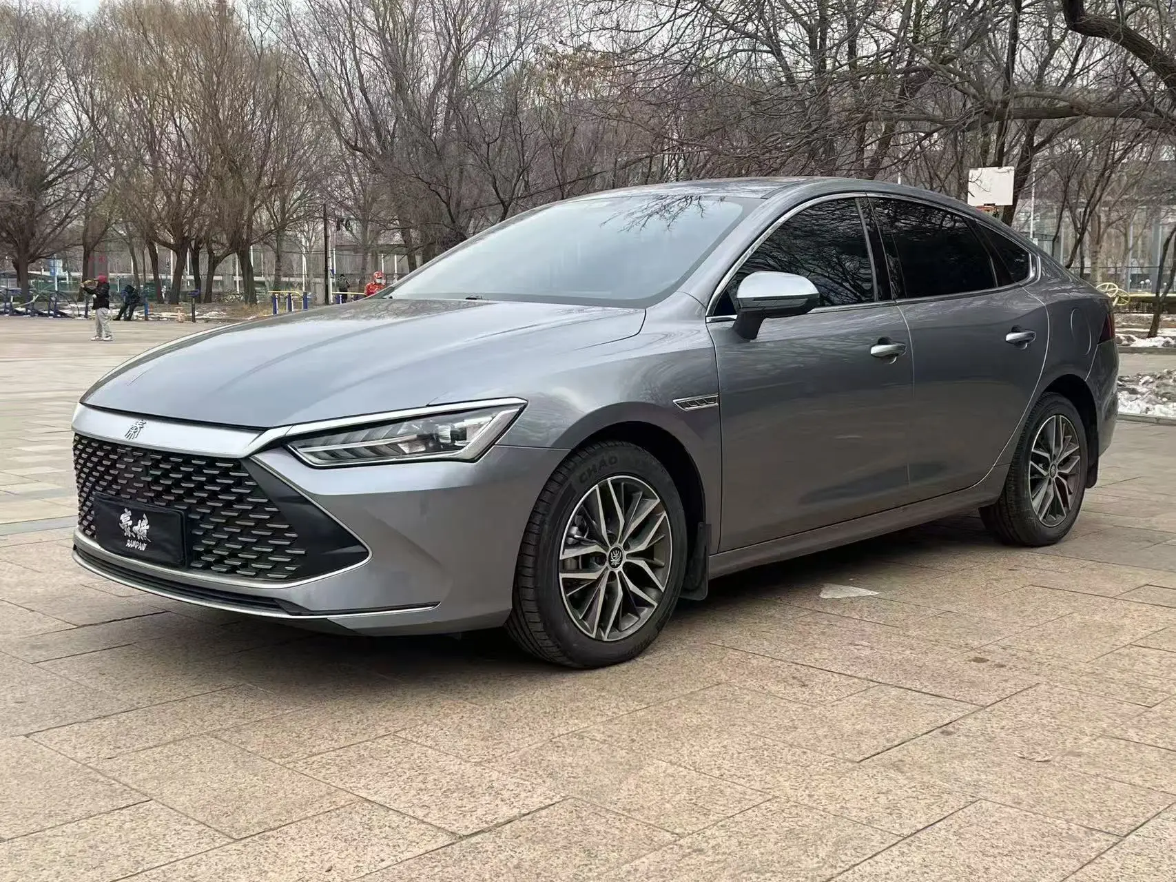 BYD Qin PLUS DM  из Китая