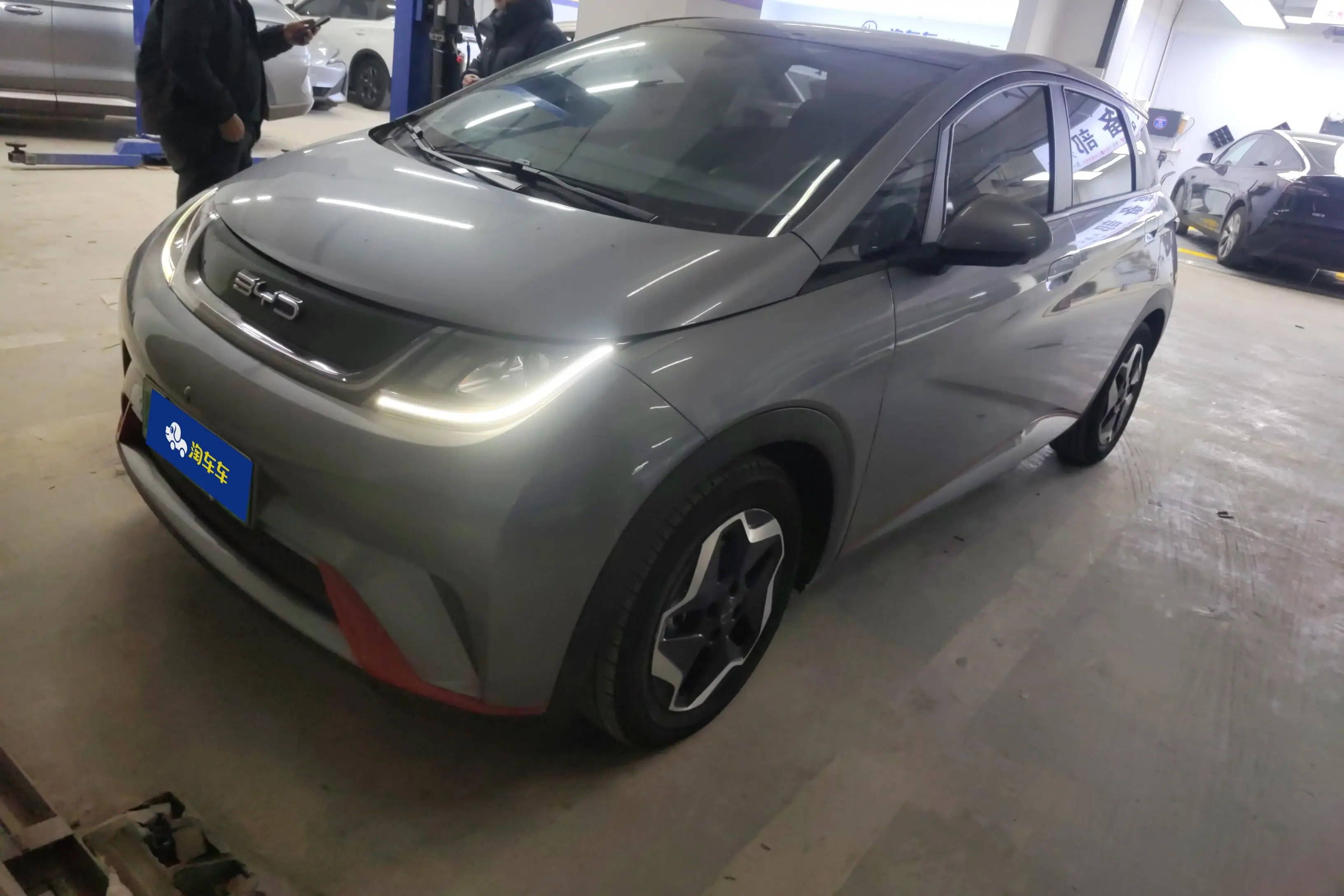 BYD Dolphin  из Китая