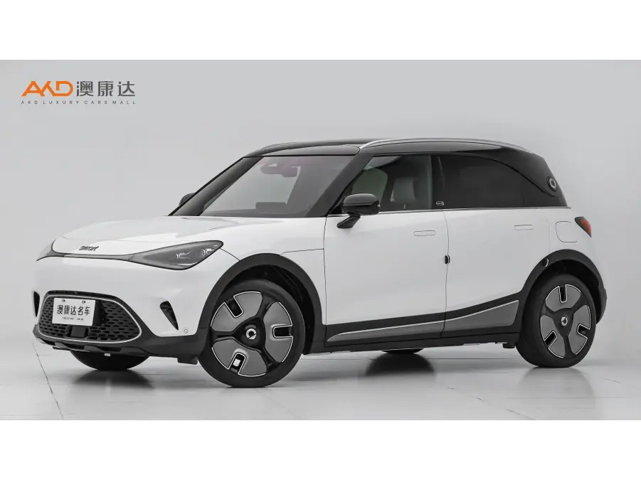 Smart elf #1  из Китая