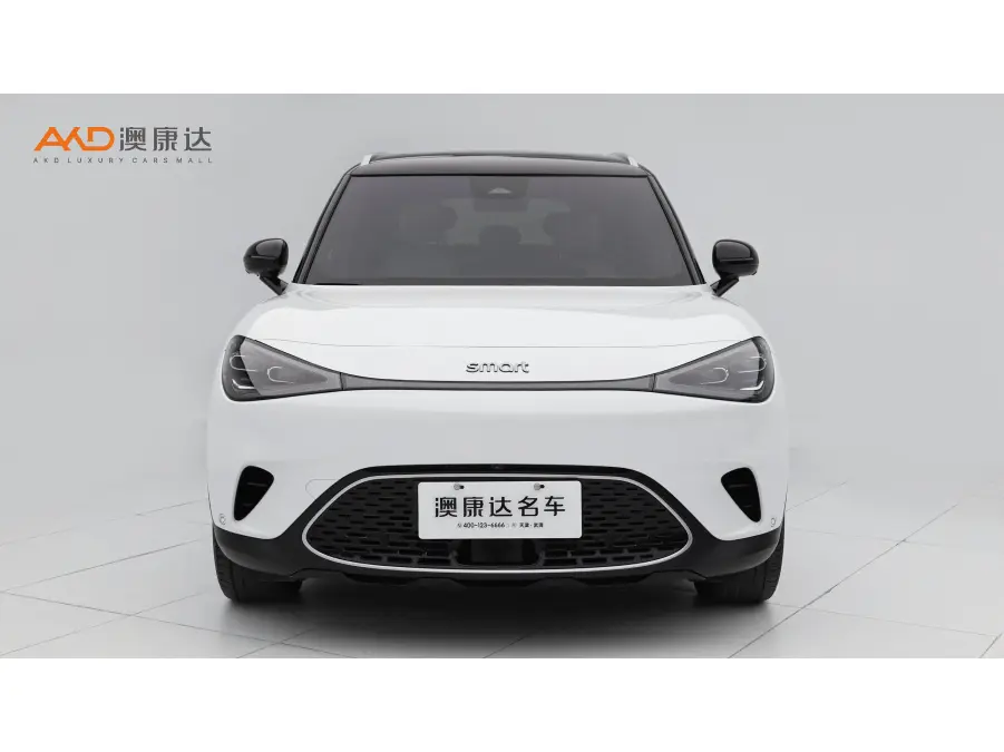 Smart elf #1  из Китая