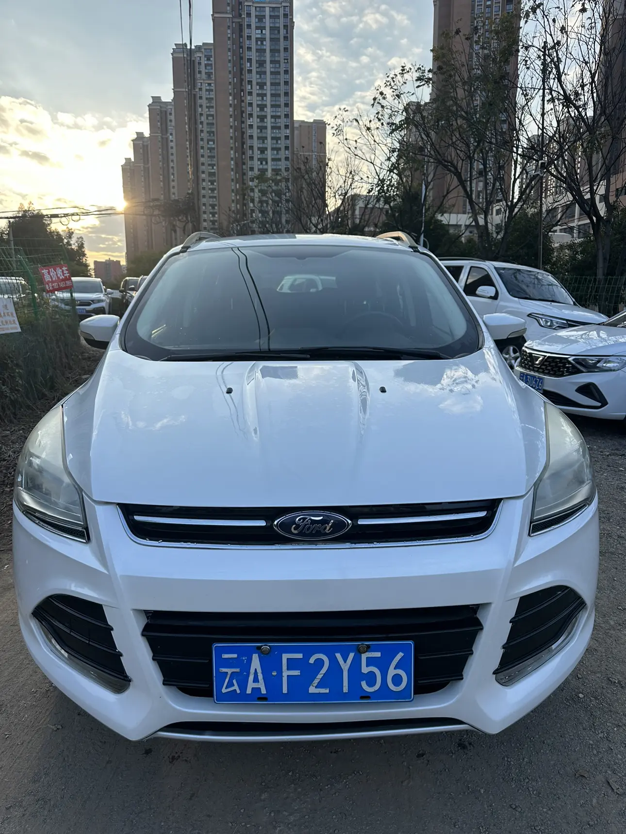 Ford Wing tiger  из Китая