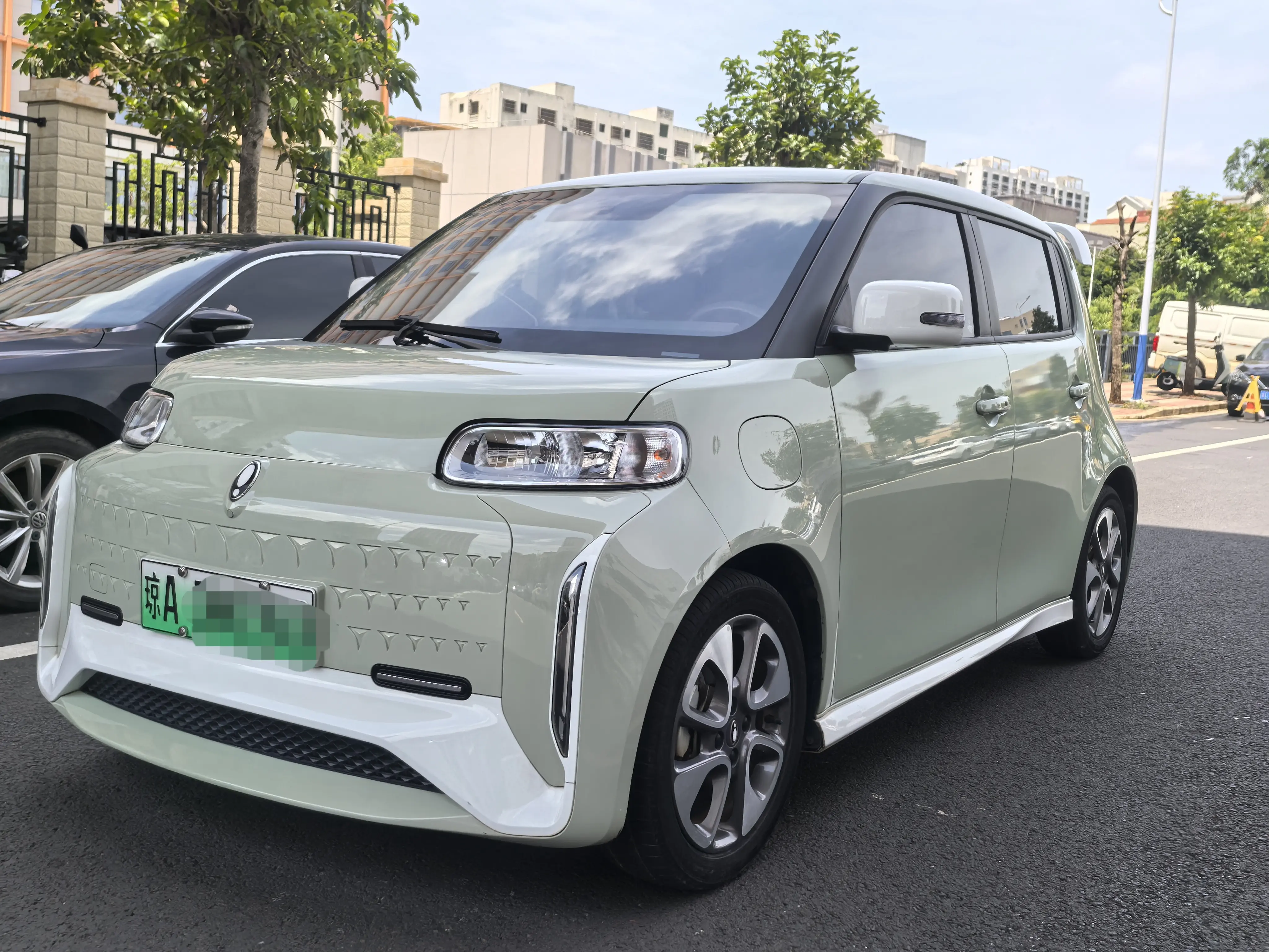 ORA Euler white cat  из Китая