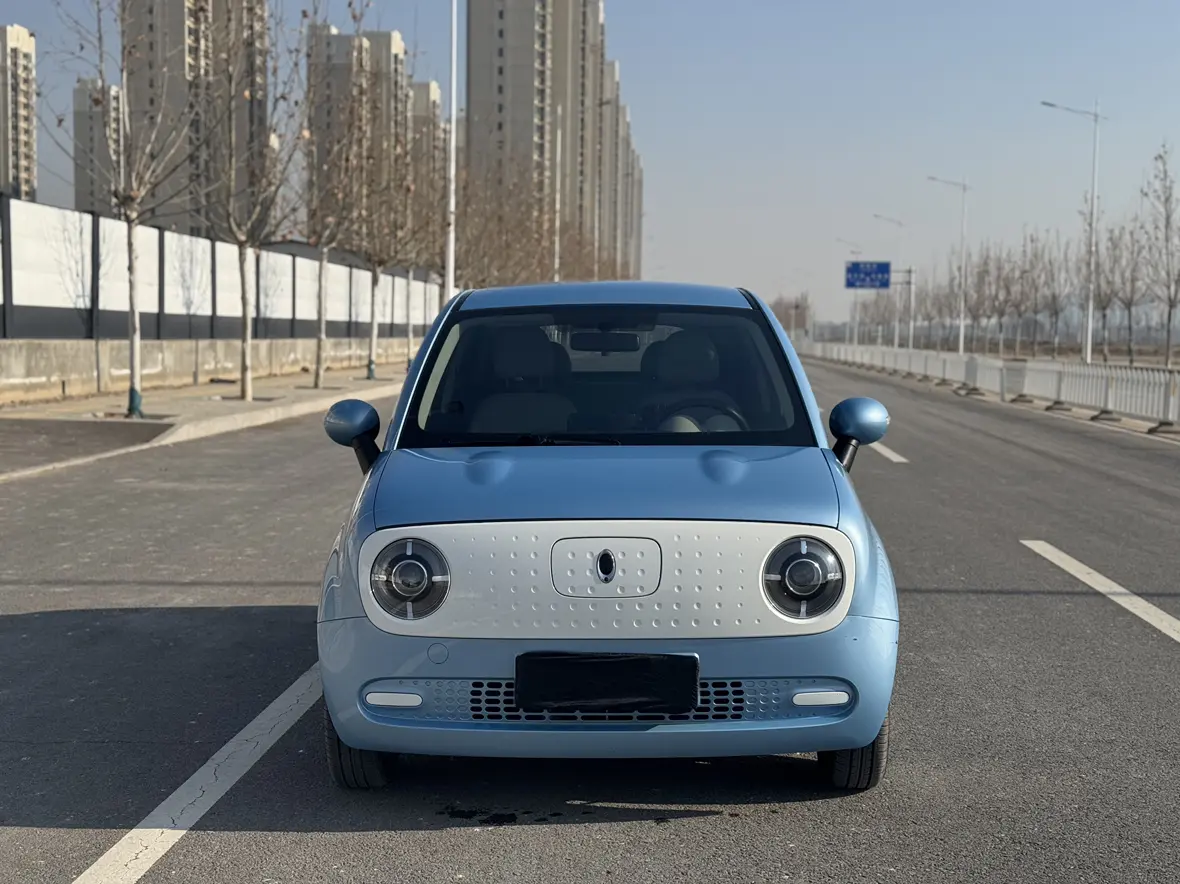 ORA Euler black cat  из Китая