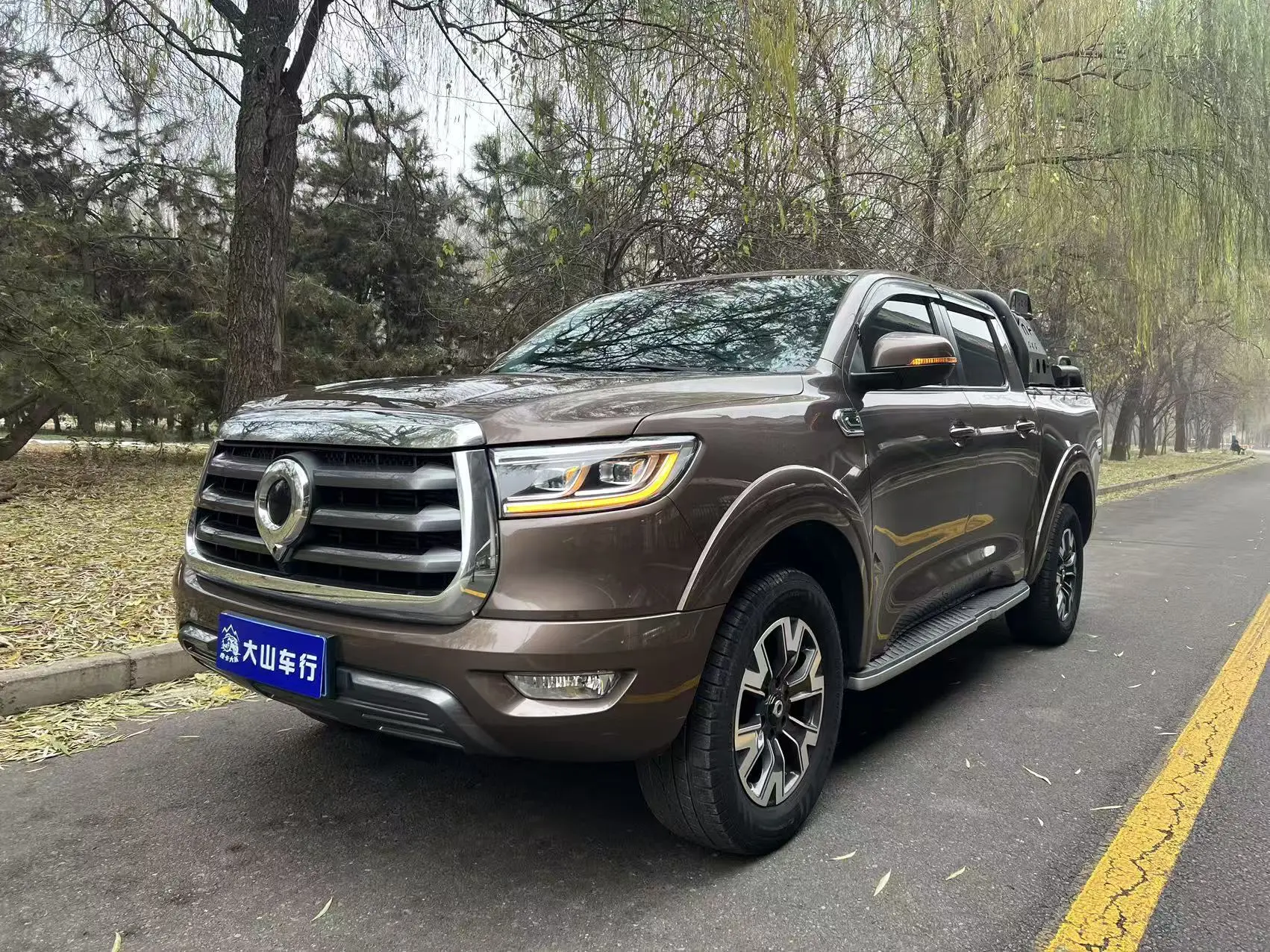 Great Wall Gun  из Китая