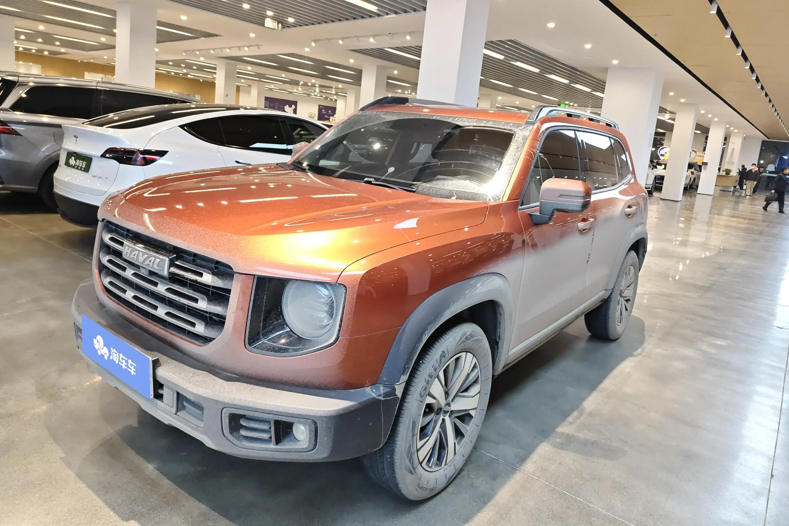 Haval Dargo