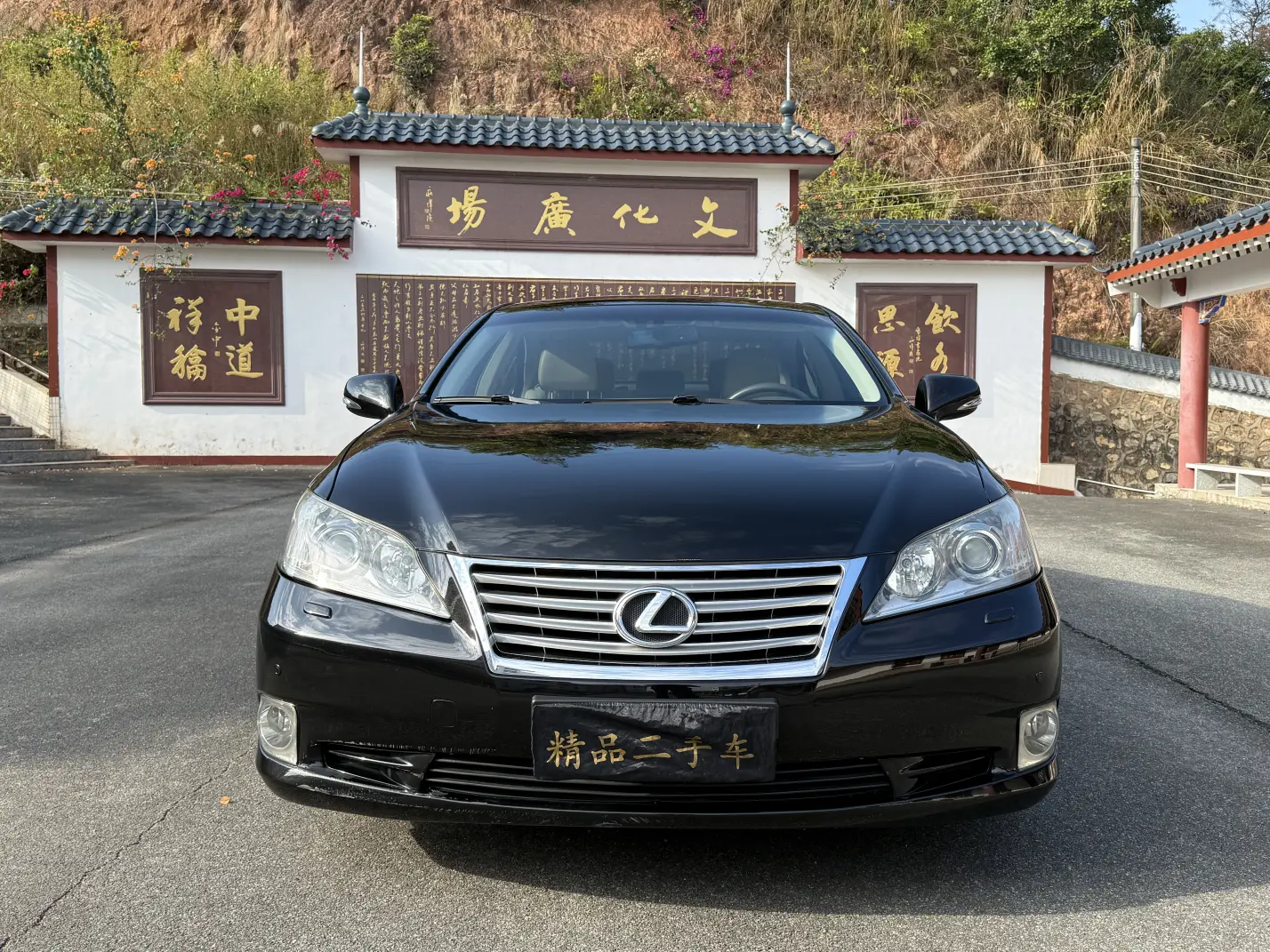 Lexus ES  из Китая