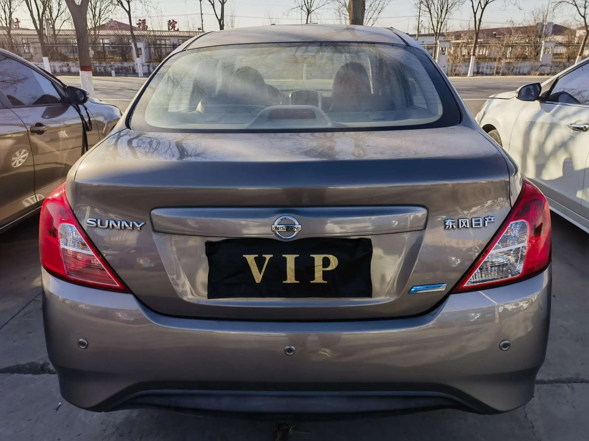 Nissan Sunlight  из Китая