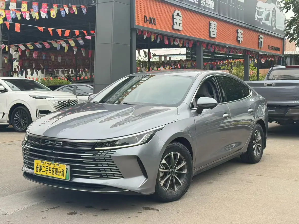 BYD Destroyer 05  из Китая