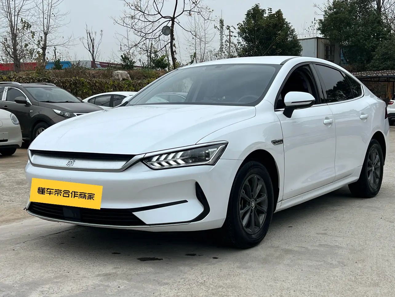 BYD Qin PLUS EV  из Китая