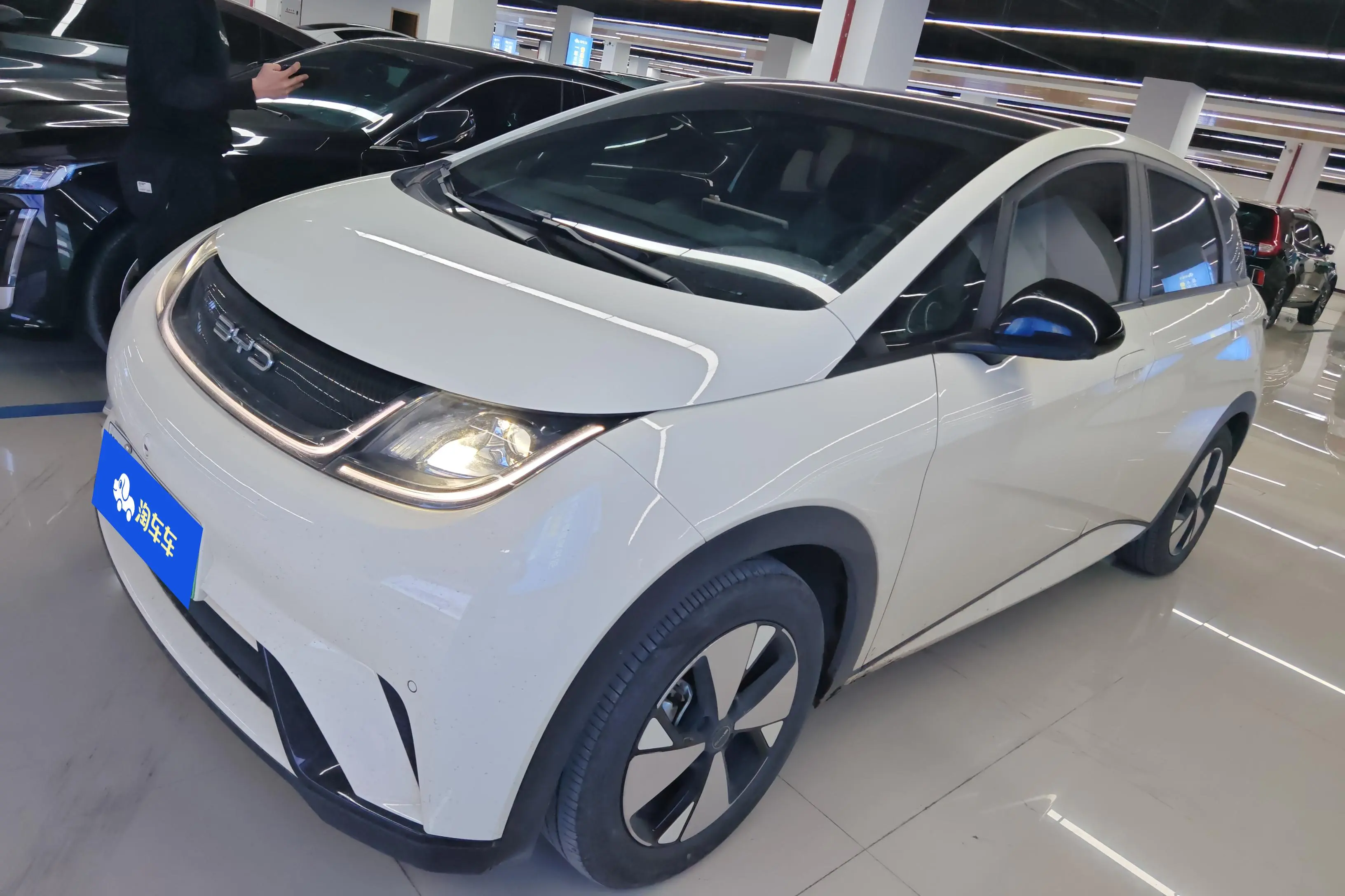 BYD Dolphin  из Китая