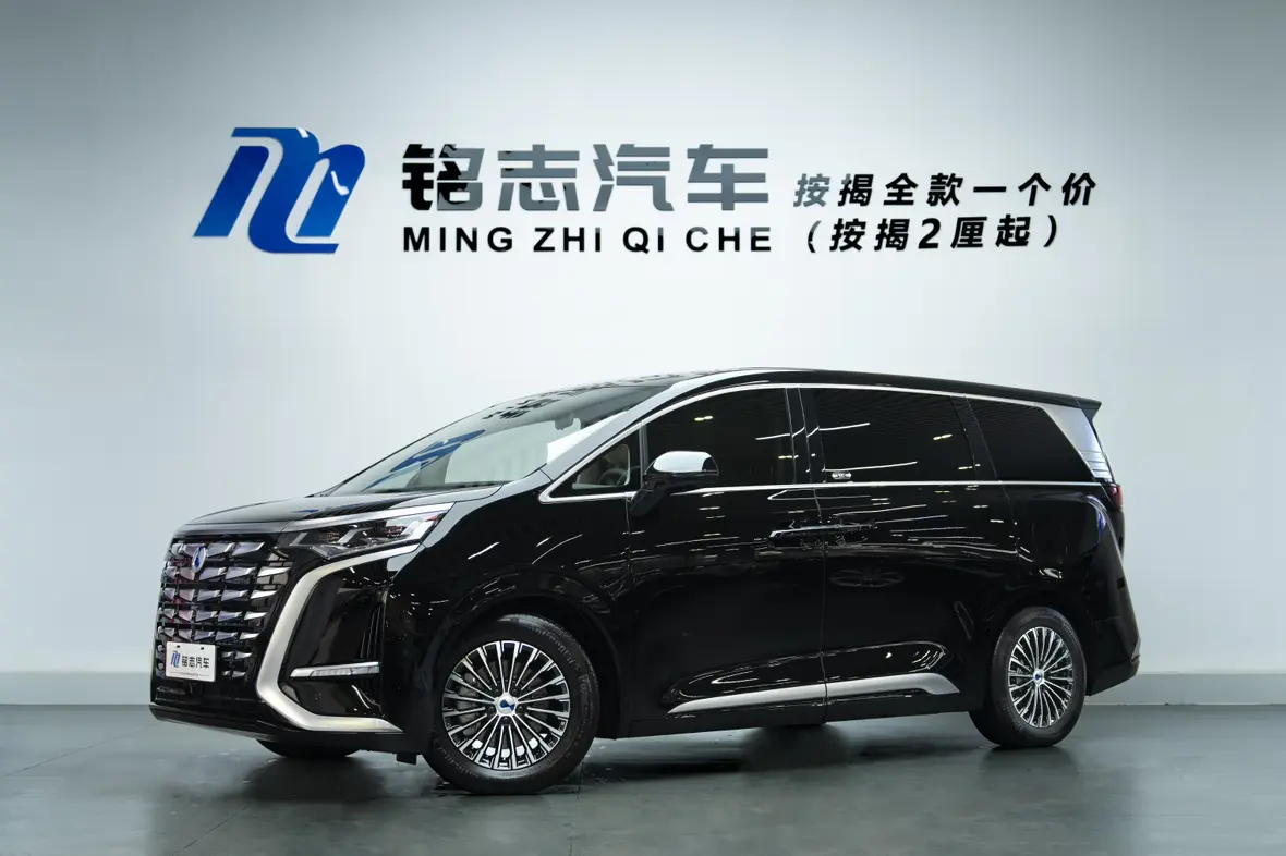 Denza D9 DM  из Китая