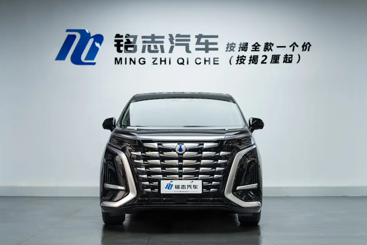 Denza D9 DM  из Китая