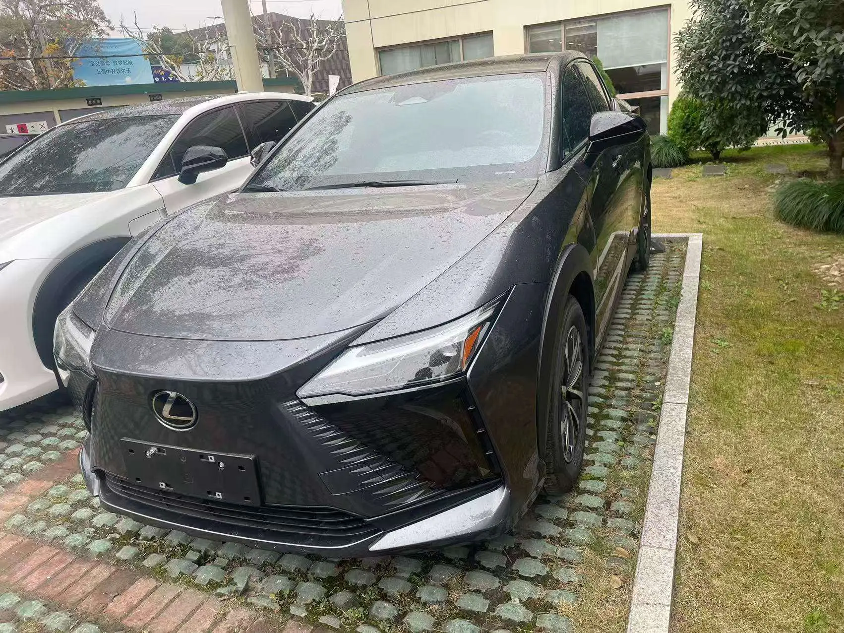 Lexus RZ  из Китая