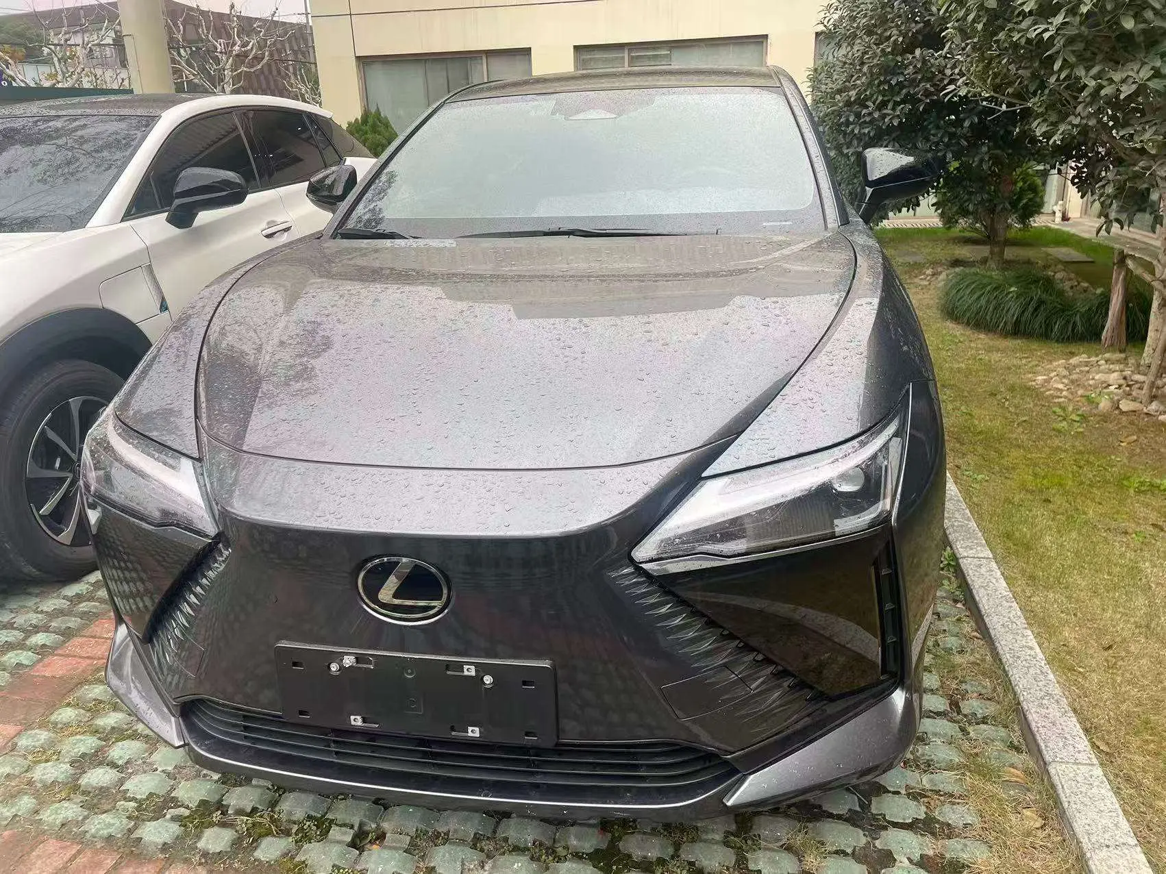 Lexus RZ  из Китая