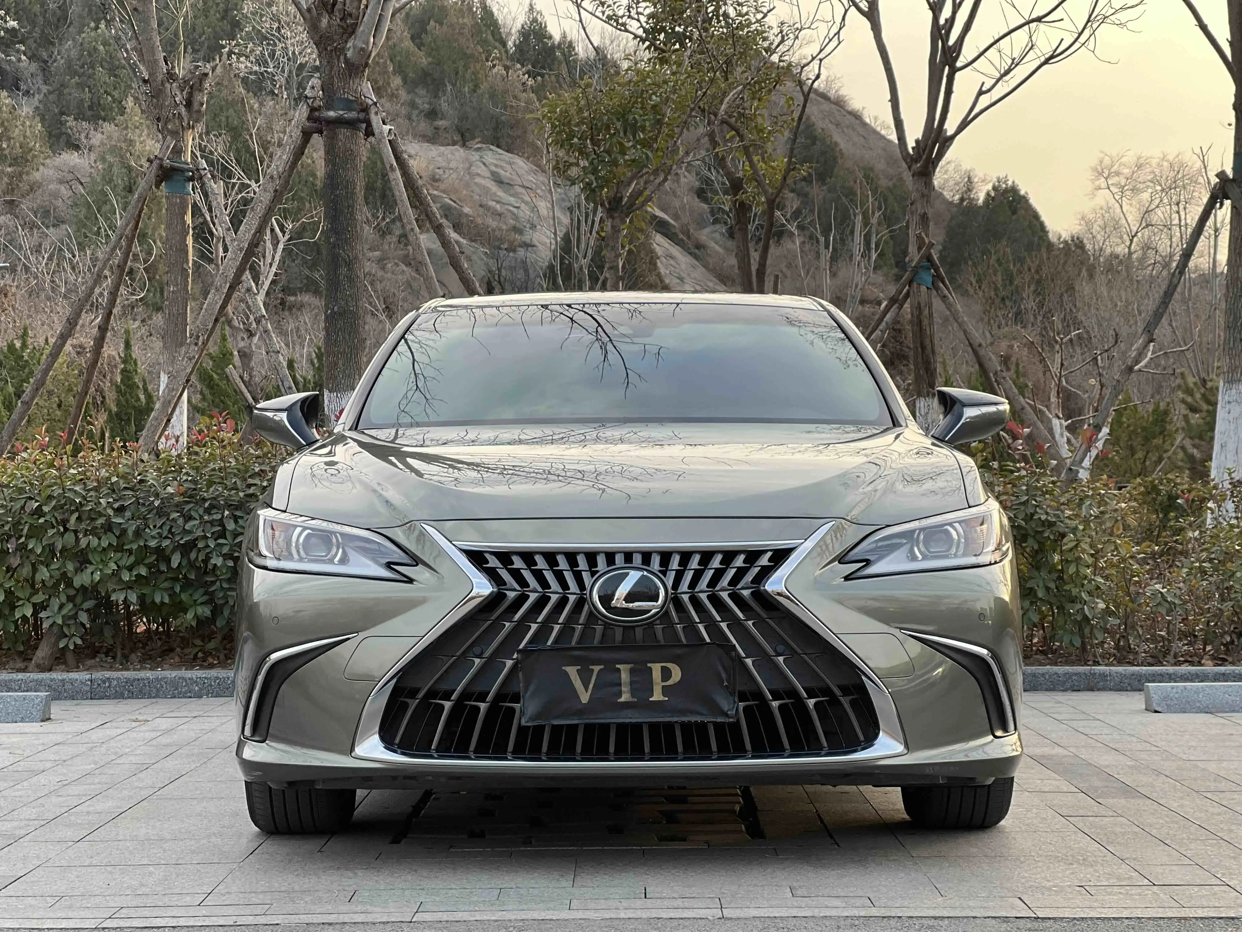Lexus ES  из Китая