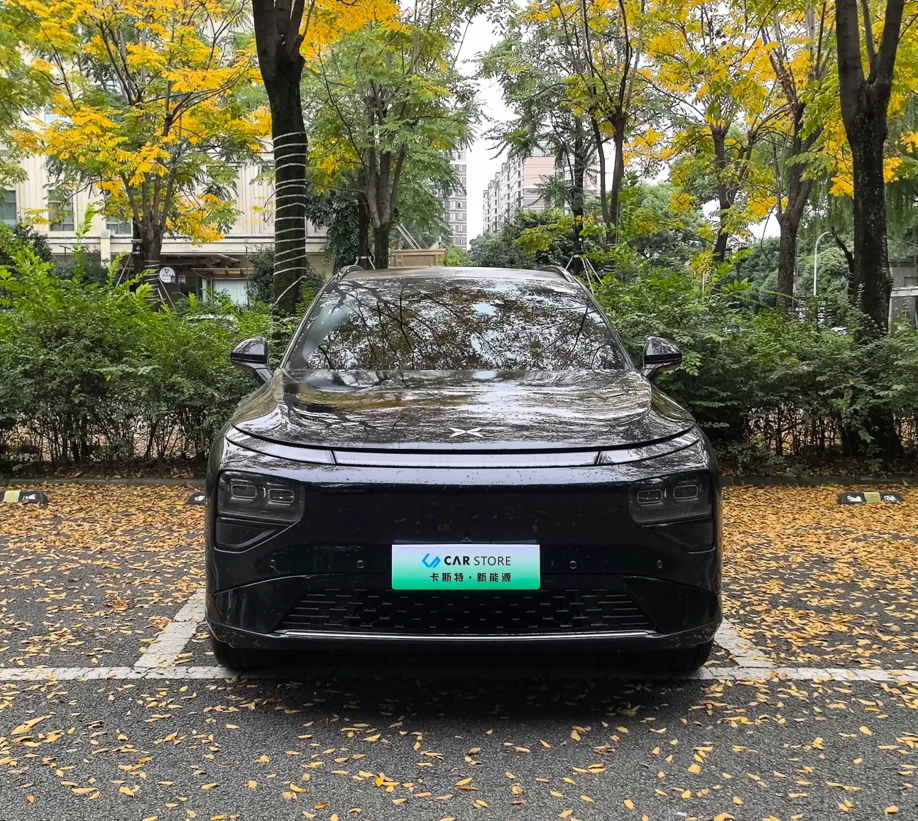 Xpeng G9  из Китая