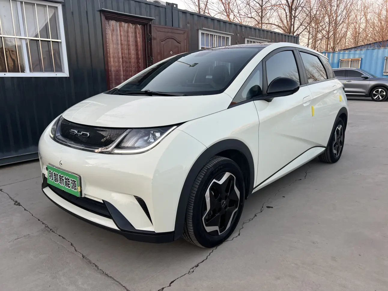 BYD Dolphin  из Китая