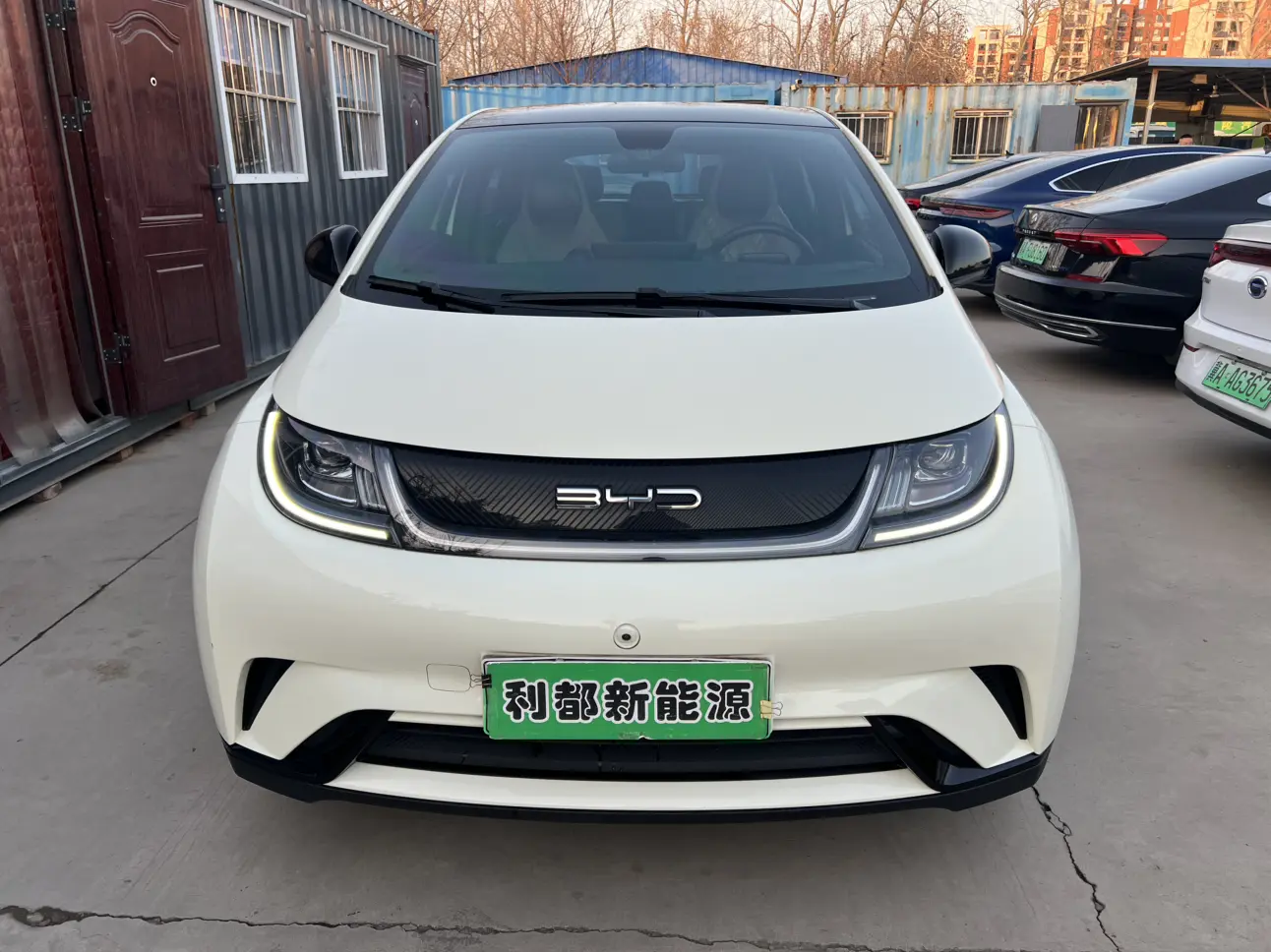 BYD Dolphin  из Китая