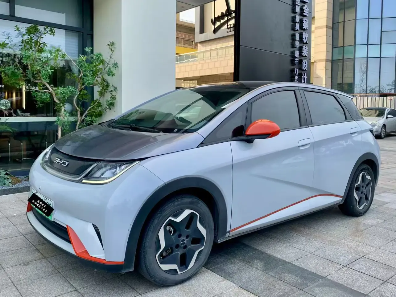 BYD Dolphin  из Китая