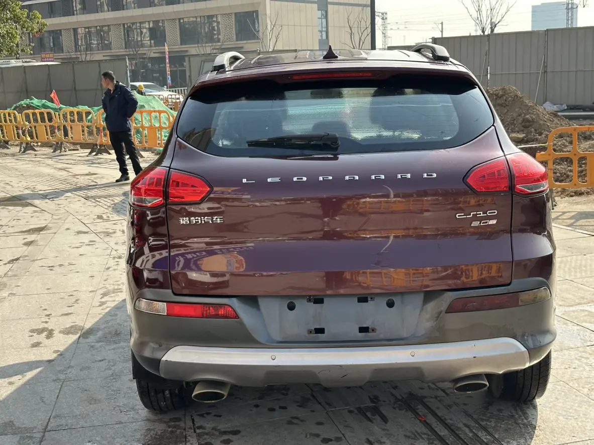 Cheetah cars Cheetah CS10  из Китая