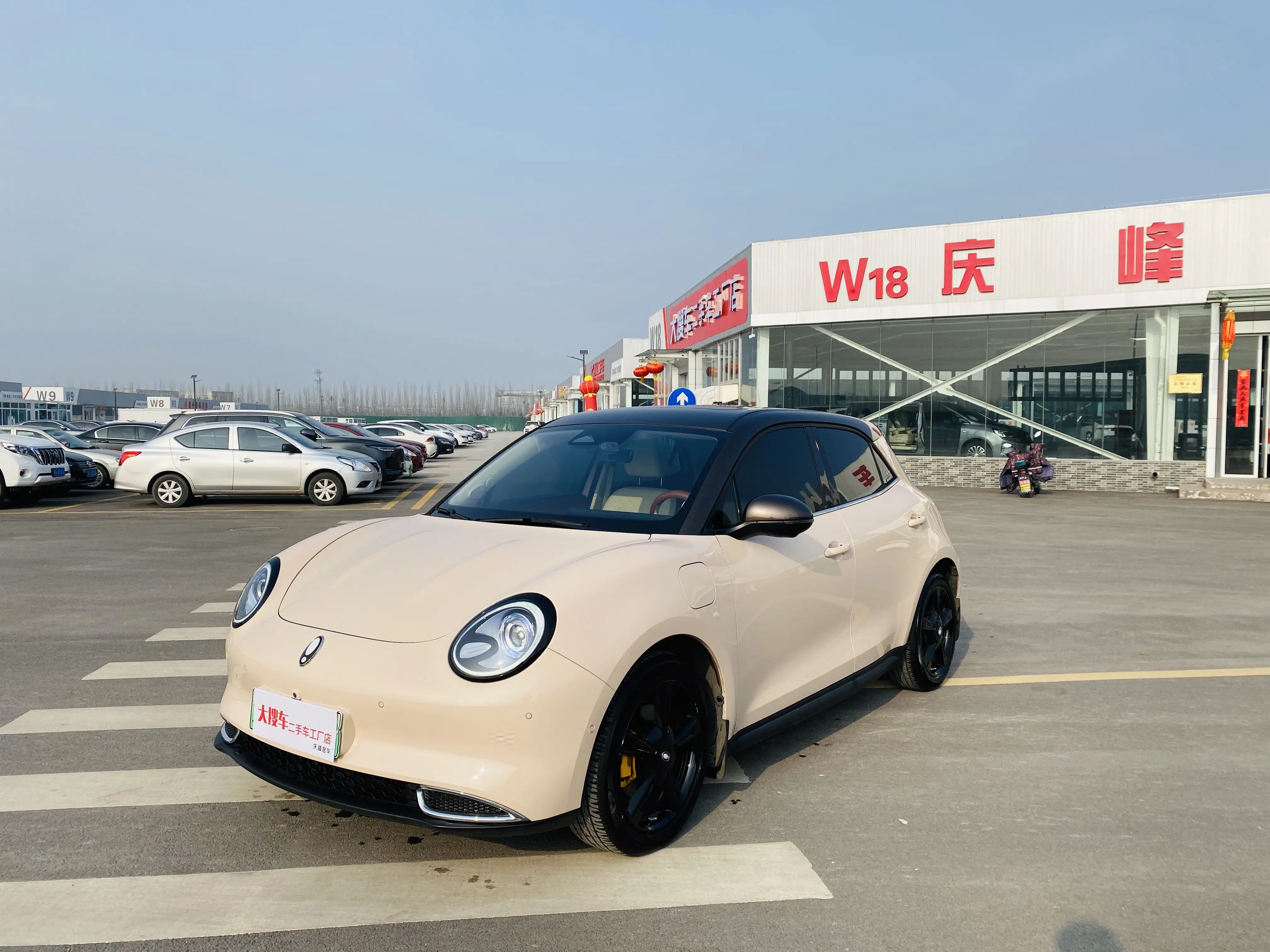 ORA Euler good cat  из Китая