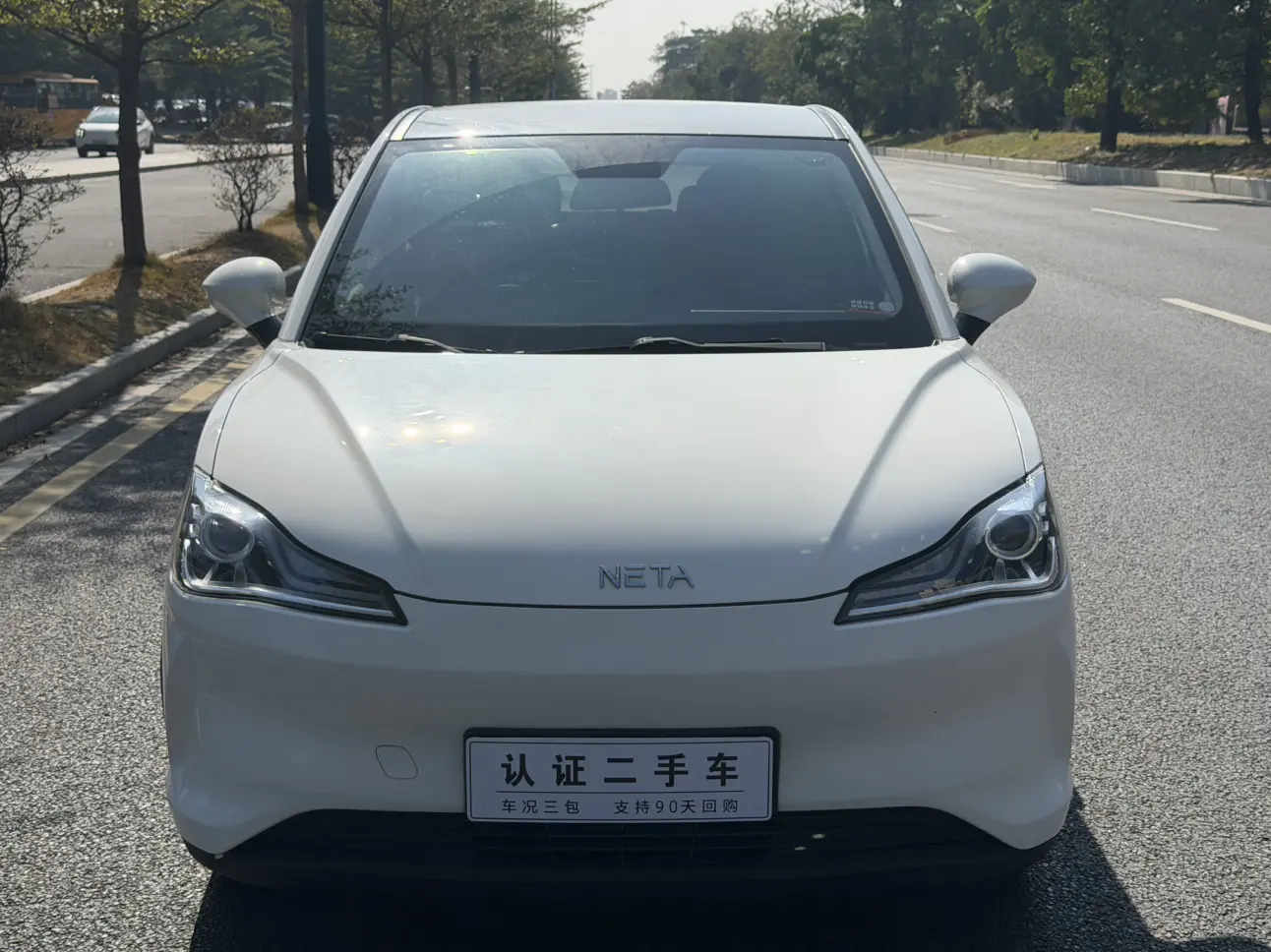 NETA Nezha V  из Китая