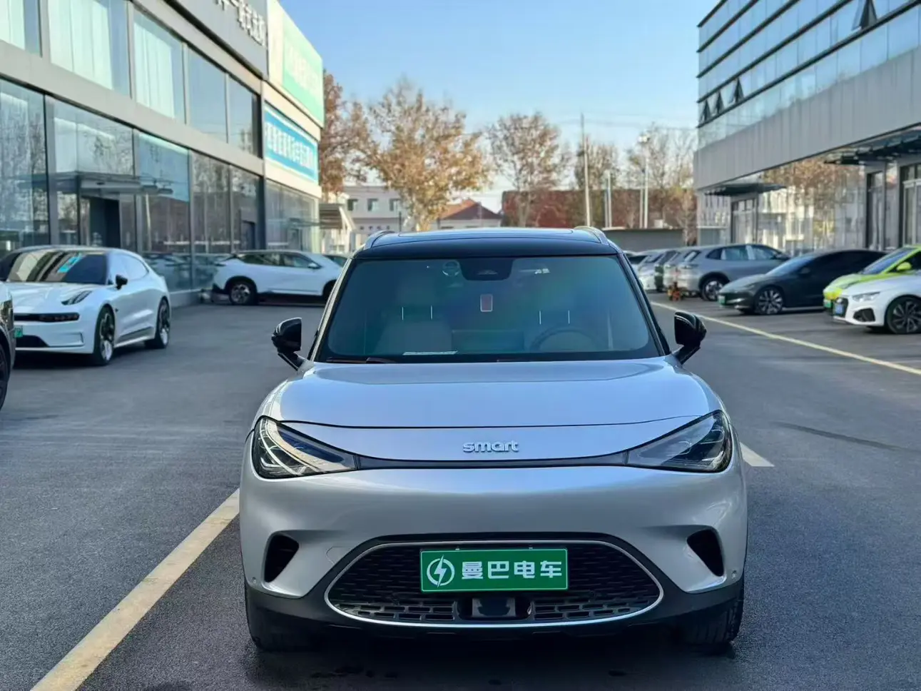 Smart elf #1  из Китая