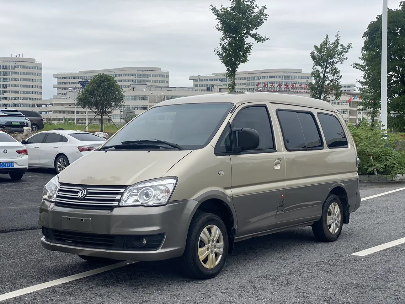 Forthing Lingzhi  из Китая