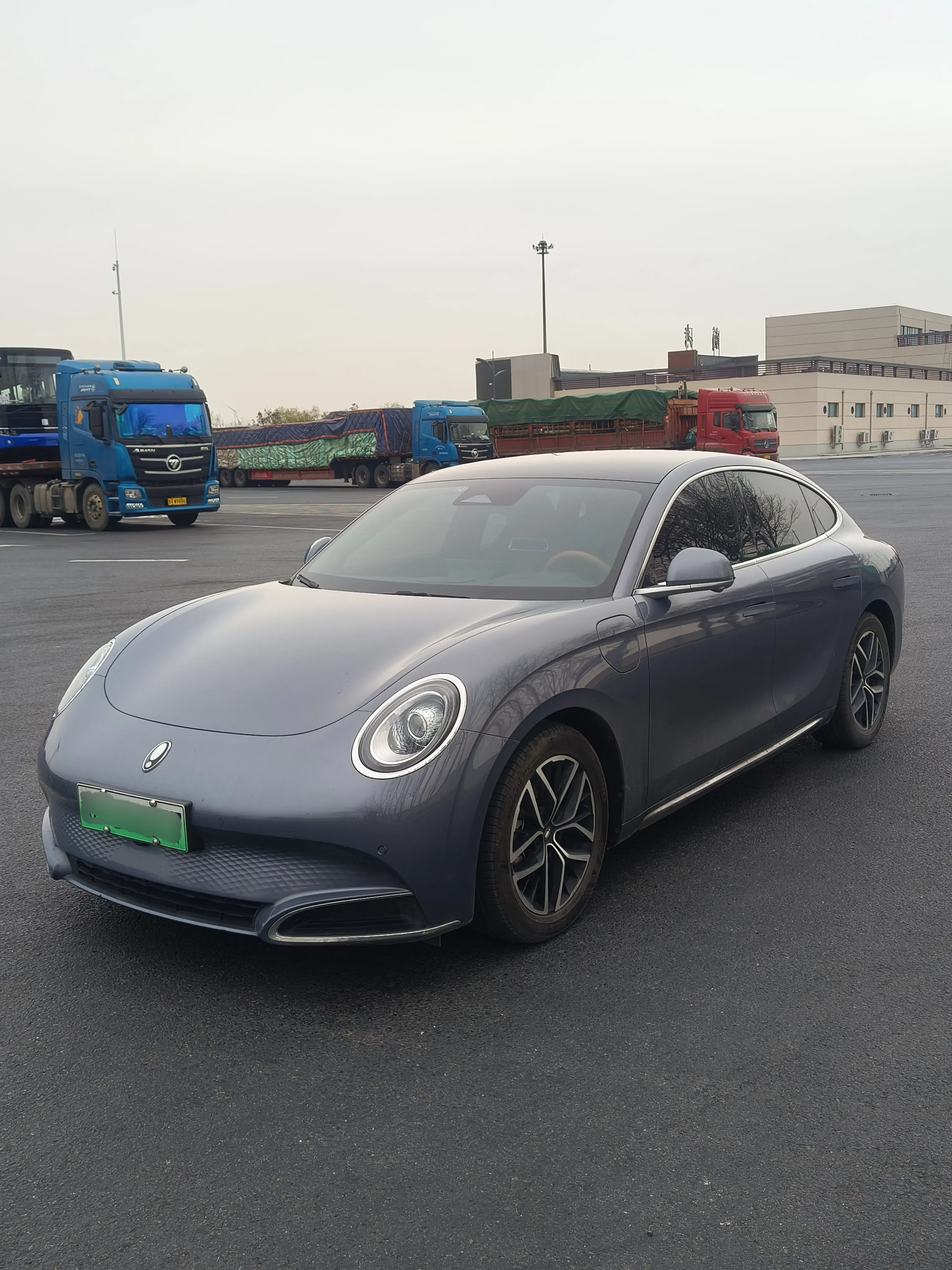 ORA Euler lightning cat  из Китая