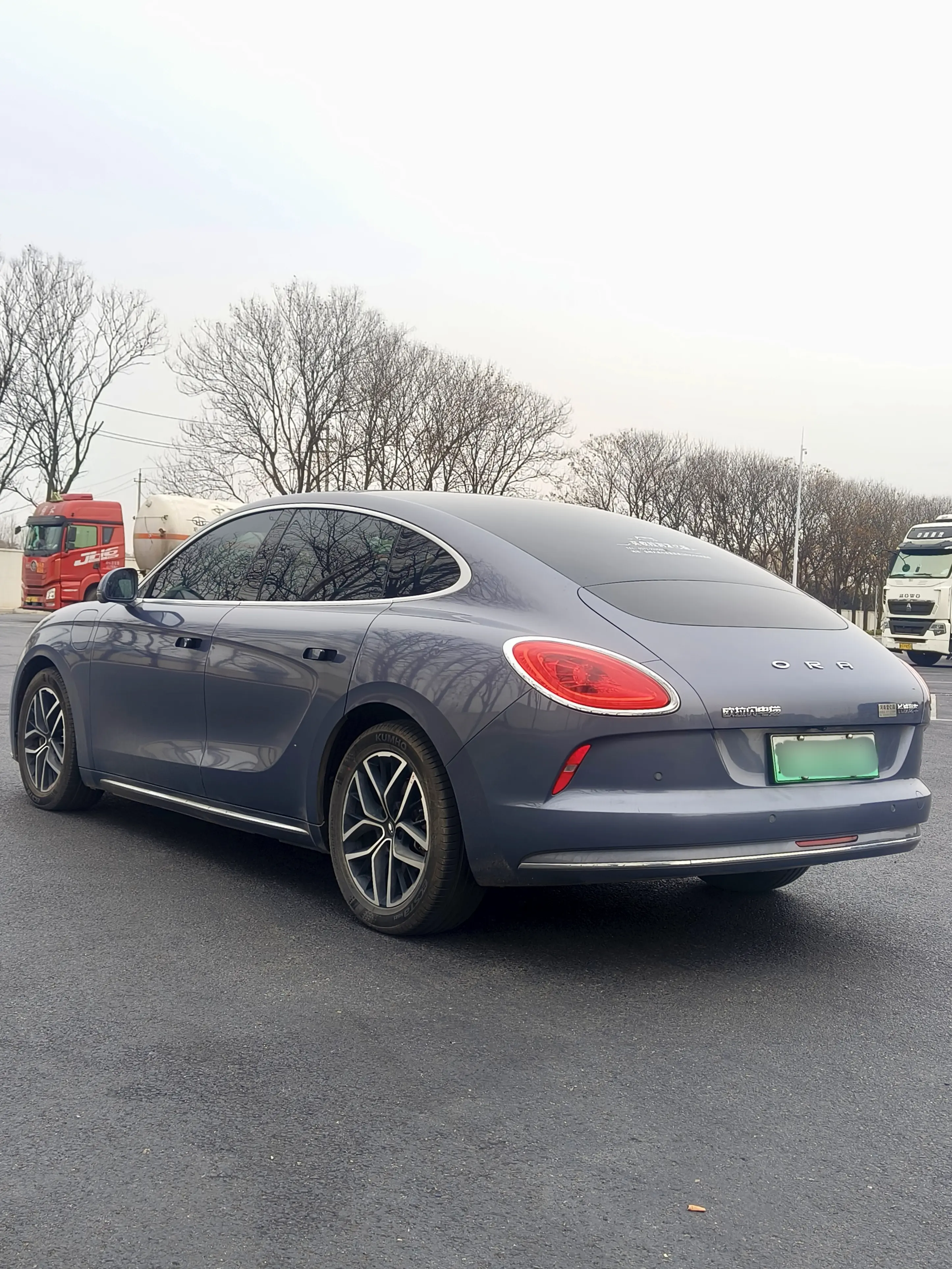 ORA Euler lightning cat  из Китая