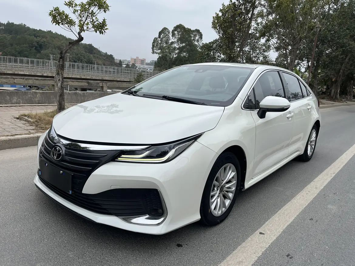 Toyota Asiatic lion