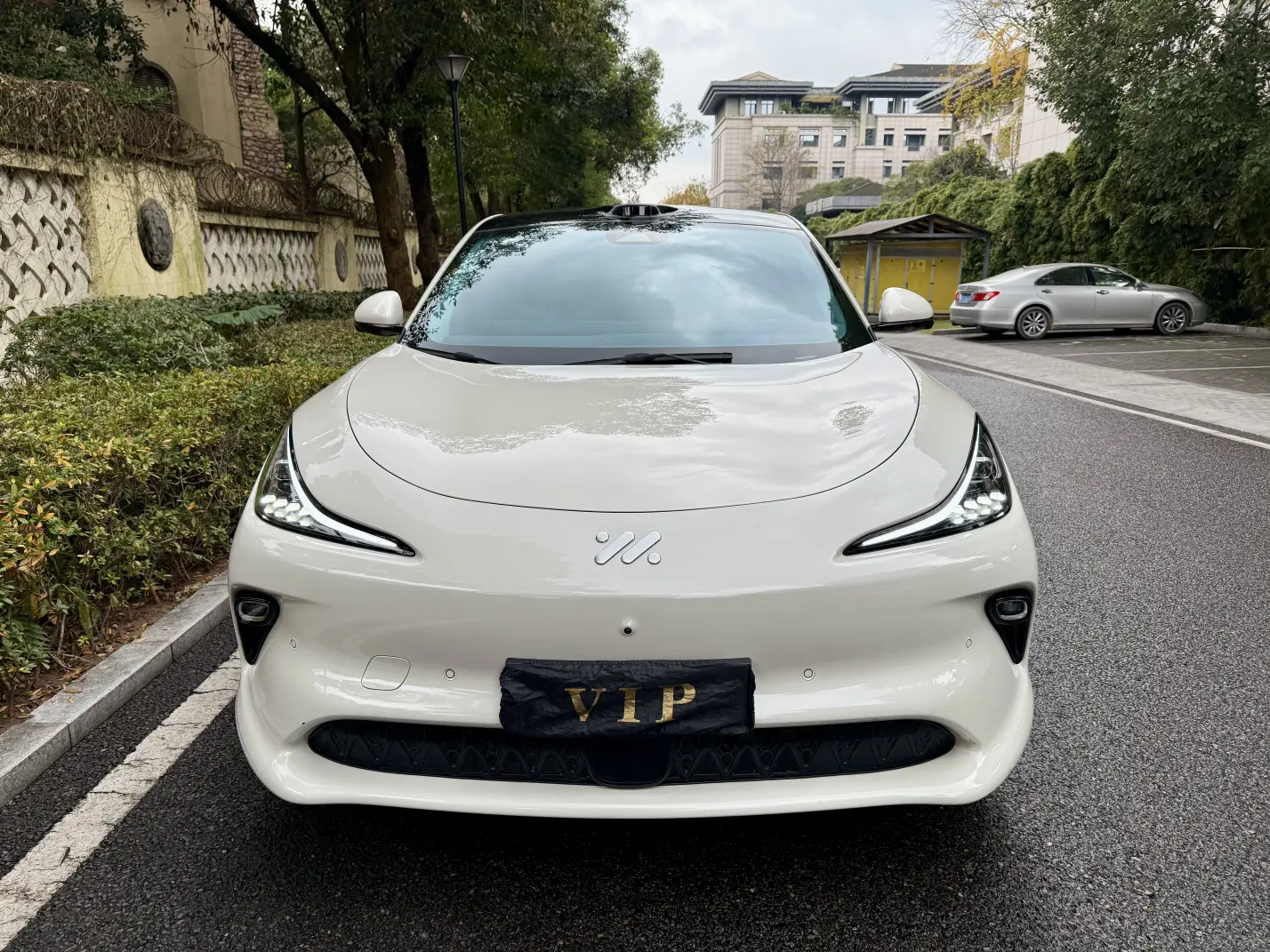 Zhiji LS6  из Китая