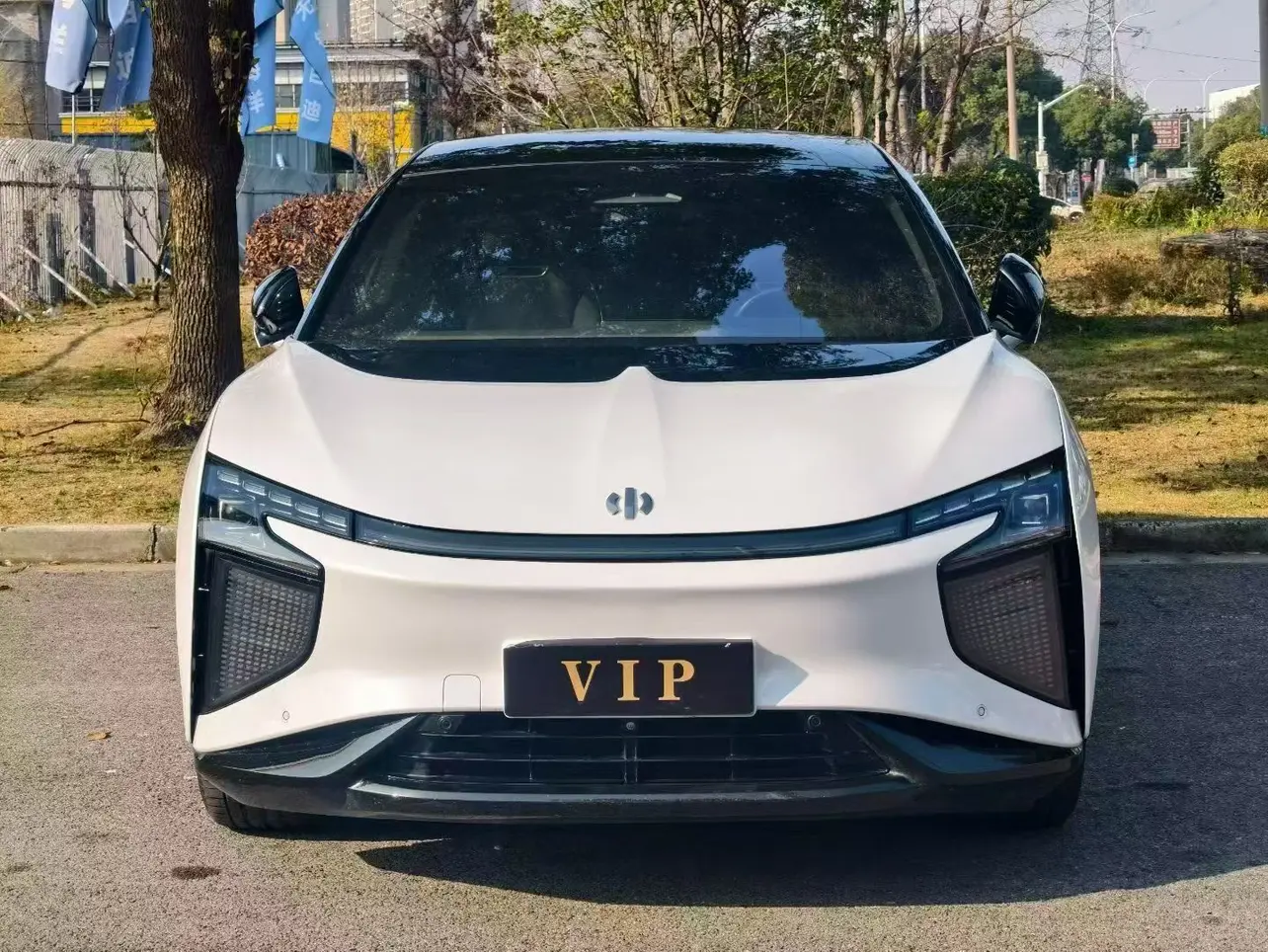 HiPhi X  из Китая