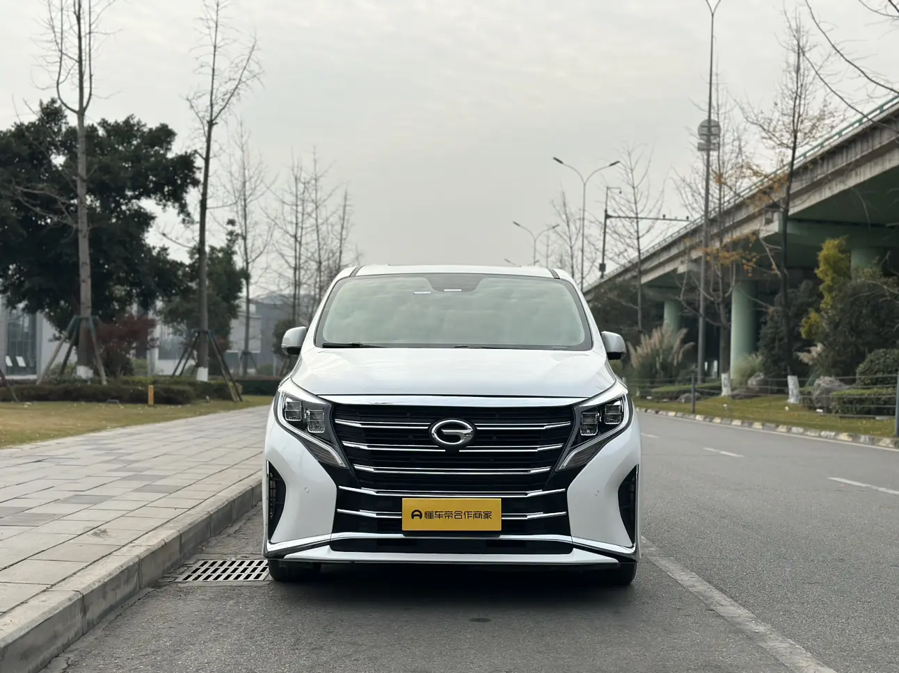 GAC Trumpchi M8  из Китая