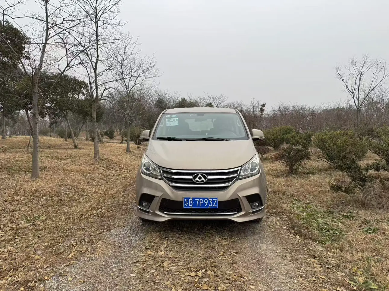 Datong Maxus G10  из Китая