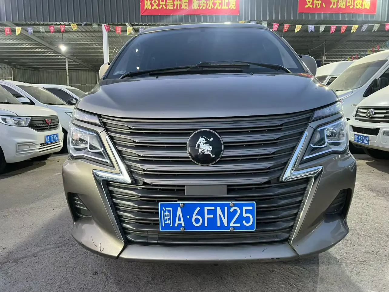 Forthing Lingzhi  из Китая