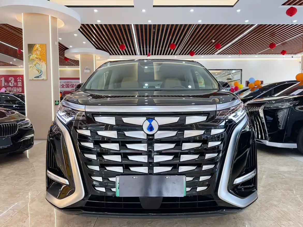 Denza D9 DM  из Китая