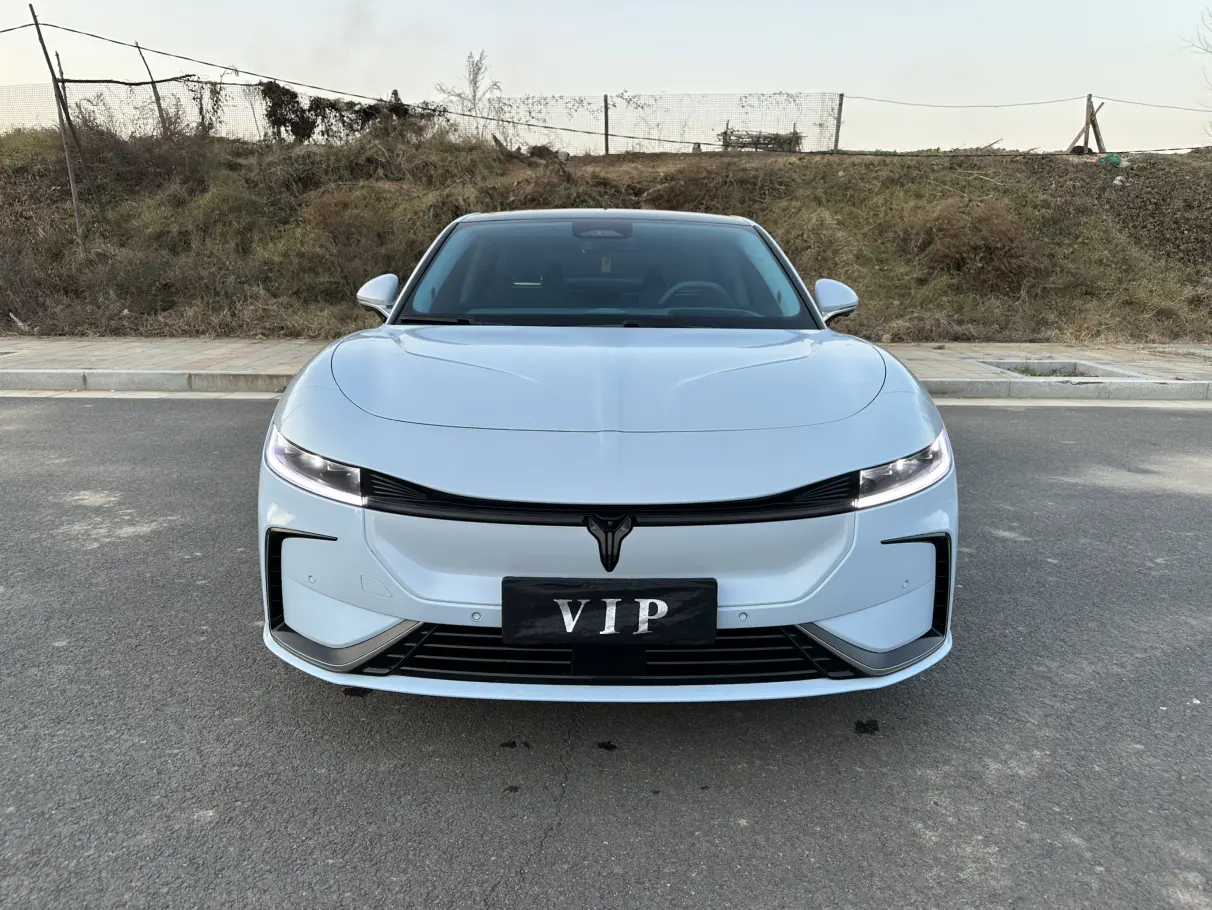 Voyah Passion EV  из Китая