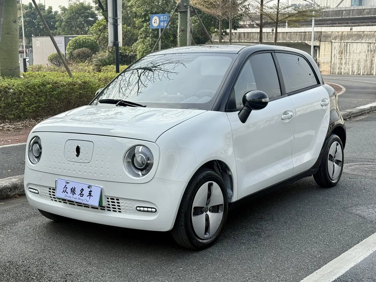 ORA Euler black cat  из Китая